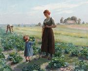 Aime Perret The lettuce patch Sweden oil painting artist
